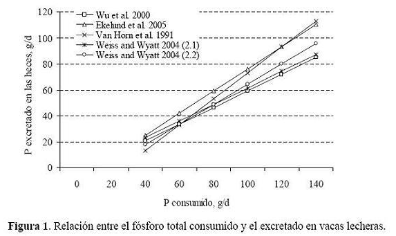 Fósforo: Importancia, Problemas Ambientales y Requerimientos en Ganado de Leche - Image 1