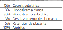 Transición: Una puesta a punto para no perder vacas - Image 4