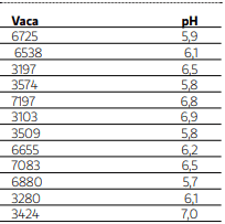 Transición: Una puesta a punto para no perder vacas - Image 3