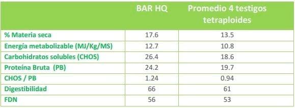 Raigrás Anual: Guía para la elección de cultivares de raigrás anual - Image 3