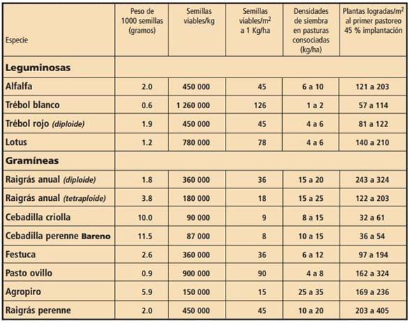 Densidades de siembra e implantación de pasturas - Image 2