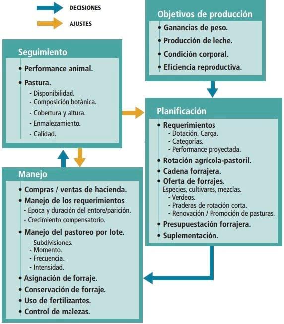 Estrategias de Manejo en Sistemas Pastoriles - Image 1