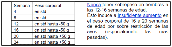 Conceptos básicos en la recria de reproductoras pesadas - Image 1
