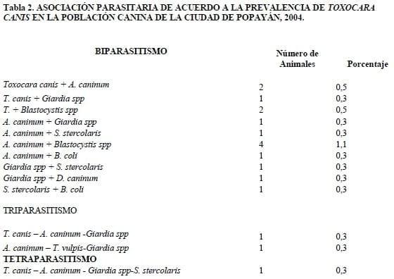 Prevalencia de Toxocara canis y otros parasitos intestinales en Caninos en al ciudad de Popayán, 2004. - Image 2