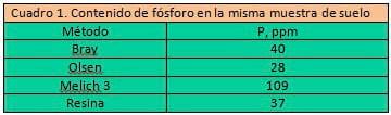 Fertilización fosfórica en maíz - Image 2