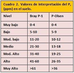 Fertilización fosfórica en maíz - Image 3