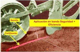 Fertilización fosfórica en maíz - Image 5