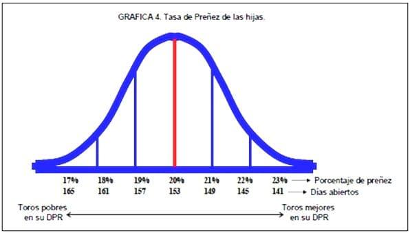 Selección genética de toros y su impacto en la producción lechera - Image 8
