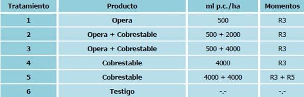Evaluación de fungicidas foliares para el manejo del complejo de enfermedades de fin de ciclo en soja - Image 1