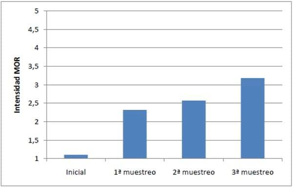 Evaluación de fungicidas foliares para el manejo del complejo de enfermedades de fin de ciclo en soja - Image 3
