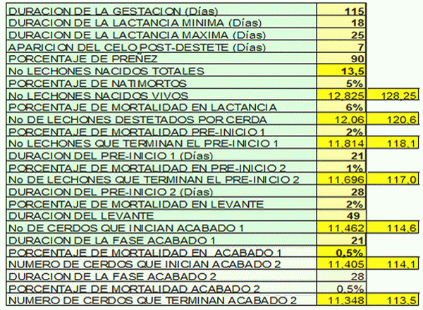Parámetros para lograr buenos resultados económicos en la granja porcina - Image 1