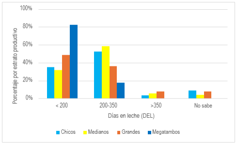 Figura 2. Días en leche (DEL) según estrato productivo de los establecimientos lecheros relevados en la encuesta realizada por INTA (n=242; Argentina, 2024).