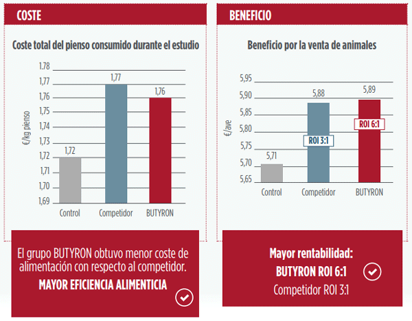 BUTYRON: la clave para maximizar el rendimiento de los pollos de engorde, a diferencia del butirato tradicional - Image 2