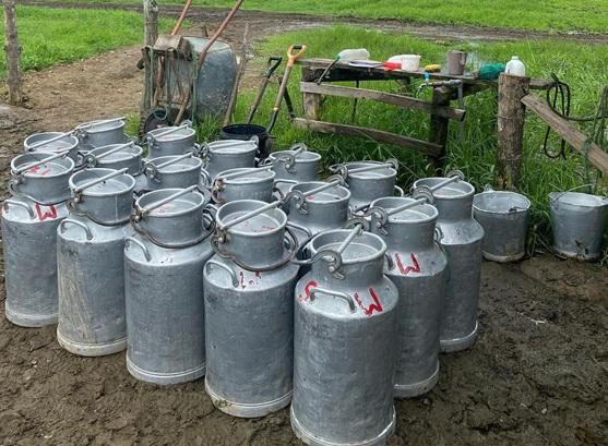 Potencial de producción de leche en el trópico de Ecuador - Image 6