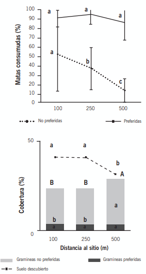 Figura 1. (a) Frecuencia de matas comidas de una especie preferida (Poa ligularis Nees ex Steud.) y tres especies poco preferidas del género Pappostipa (P. major, P. speciosa y P. humilis) en función de la distancia a los silos de autoconsumo que proveían pellets de balanceado energético y proteico (13,4% de proteína bruta, 14% de sal, 1,05% de calcio, 0,6% de fósforo; 2,59 MCal EM kg-1 MS-1). Letras distintas indican diferencias significativas entre distancias al silo. (b) Cobertura de gramíneas (total, preferidas y no preferidas) y porcentaje de suelo descubierto en función de la distancia a los silos (valores promedio de tres años). Letras distintas indican diferencias significativas entre distancias al silo. Las letras mayúsculas indican diferencias en la cobertura total de gramíneas. Adaptado de García Martínez et al. (2022).