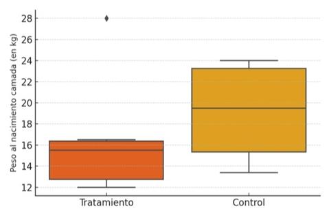Intervenciones postparto de impacto: reevaluando el rol de los secantes en polvo para la estabilidad térmica y el bienestar del recién nacido - Image 3