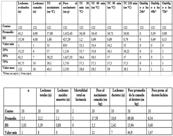 Intervenciones postparto de impacto: reevaluando el rol de los secantes en polvo para la estabilidad térmica y el bienestar del recién nacido - Image 1