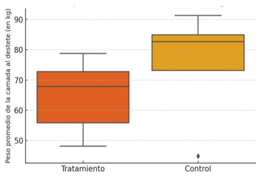 Intervenciones postparto de impacto: reevaluando el rol de los secantes en polvo para la estabilidad térmica y el bienestar del recién nacido - Image 4