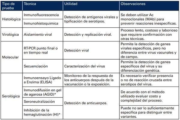 Bronquitis Infecciosa Aviar - Image 8