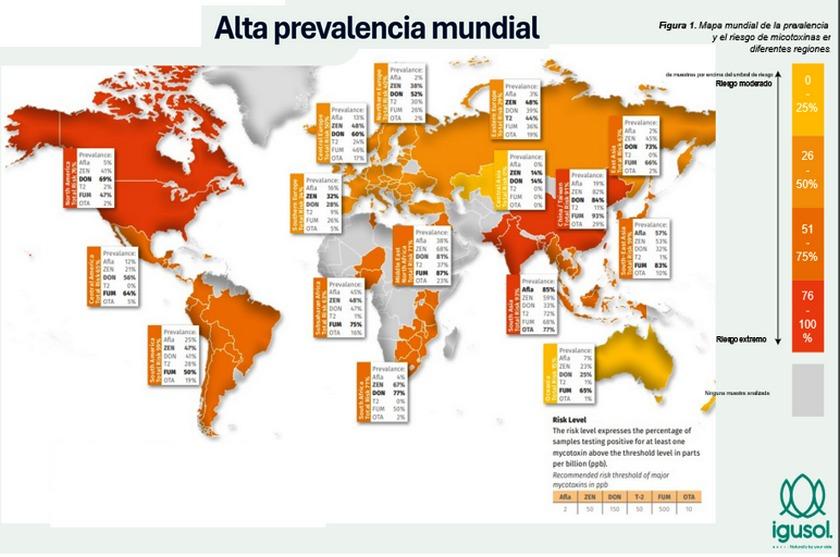 Cambio climático y micotoxinas: una amenaza creciente para la seguridad alimentaria - Image 1