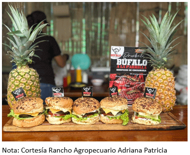 Figura 24. Hamburguesas elaboradas con carne de búfalos que se expenden en eventos de ferias ganaderas para degustación familiar.