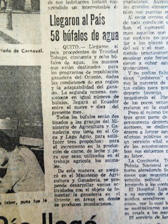 Figura 10. Artículo publicado en diario El Universo informado la llegada de los primeros búfalos a Ecuador.