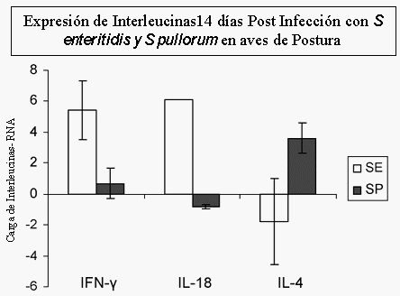 Inmunopatología de la invasión sistémica por < em> Salmonella Gallinarum< /em> - Image 1