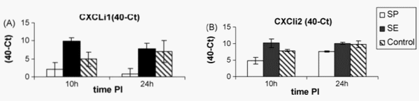 Inmunopatología de la invasión sistémica por < em> Salmonella Gallinarum< /em> - Image 3