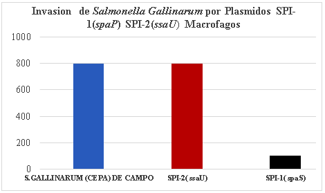 Inmunopatología de la invasión sistémica por < em> Salmonella Gallinarum< /em> - Image 3