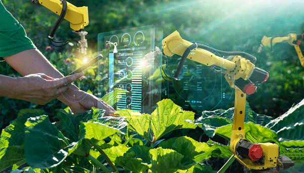 Digitalización y automatización en plantas de producción agroindustrial - Image 1