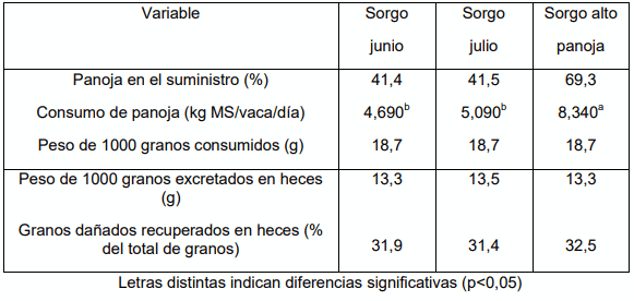 Cuadro 5: Comparación granos consumidos versus granos excretados en heces en vacas que consumen sorgo diferido.