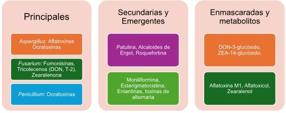 Micotoxinas Emergentes: El desafío del diagnóstico - Image 1