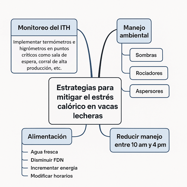 Estrategias