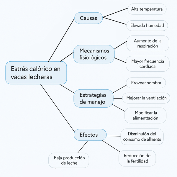 Mapa conceptual