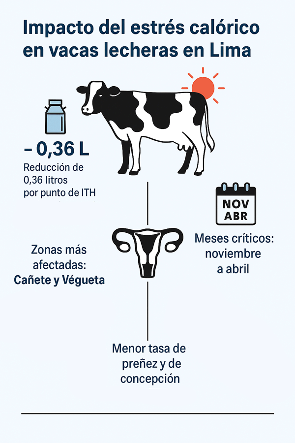 inforgrafía