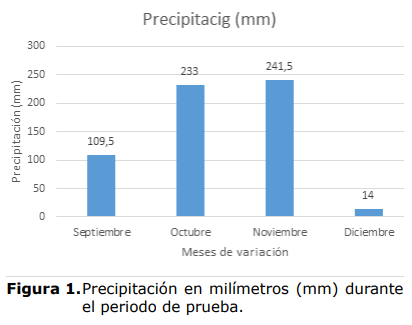 Figura 1.Precipitación en milímetros (mm) durante el periodo de prueba.