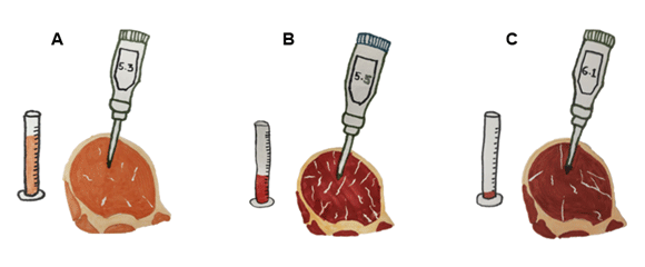 Figura 2. A: carne PSE (pálida, suave y exudativa), B: carne con parámetros ideales, C: carne DFD (dura, oscura y seca).