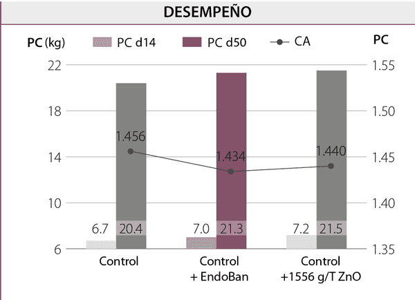 Más allá del óxido de zinc (ZnO): ¿cómo criar lechones robustos para superar con éxito los retos del destete? Soluciones nutricionales sostenibles para mejorar la resiliencia frente al estrés postdestete - Image 2