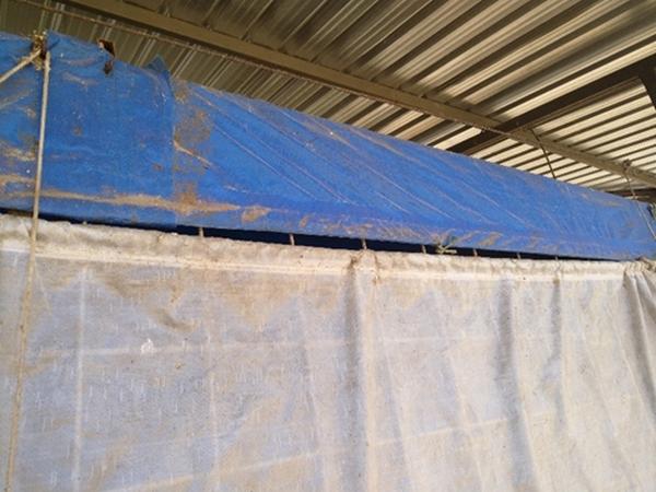 Tips de manejo de invierno en galpones o salas de porcinos - Image 2