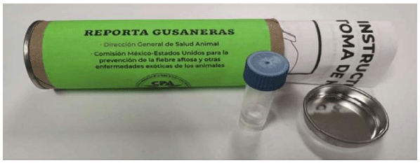 La plaga del gusano barrenador del ganado - Image 20