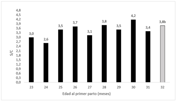 Figura 3: Número de servicios por concepción (S/C) en la primera lactancia de vacas Holstein según edad al primer parto, pertenecientes a un tambo intensivo de la cuenca noreste de la provincia de Córdoba, durante los años 2016-2017.