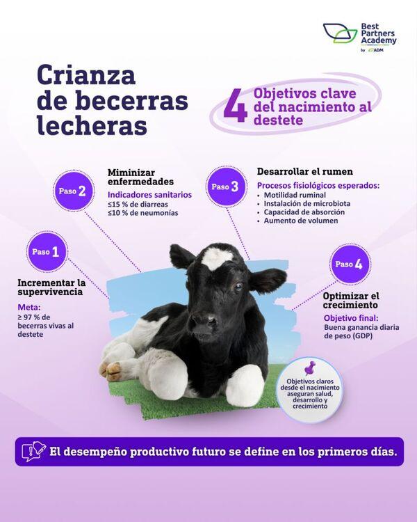 Crianza de becerras lecheras - Image 1