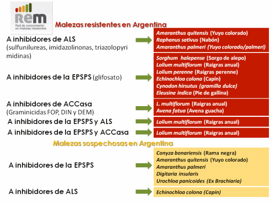 AAPRESID2013-Red de conocimiento en malezas resistentes (REM) - Image 1
