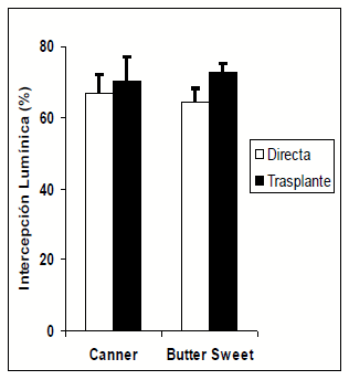 Trasplante vs. Siembra directa en maiz dulce (Zea Mays l.): Producción y utilización de fotoasimilados - Image 4