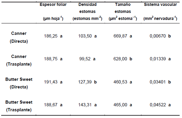 Trasplante vs. Siembra directa en maiz dulce (Zea Mays l.): Producción y utilización de fotoasimilados - Image 12