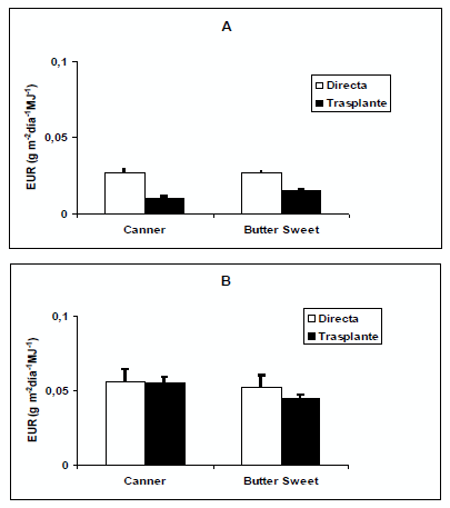 Trasplante vs. Siembra directa en maiz dulce (Zea Mays l.): Producción y utilización de fotoasimilados - Image 7