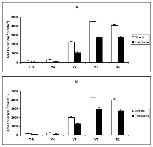 Trasplante vs. Siembra directa en maiz dulce (Zea Mays l.): Producción y utilización de fotoasimilados - Image 2
