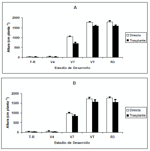Trasplante vs. Siembra directa en maiz dulce (Zea Mays l.): Producción y utilización de fotoasimilados - Image 1