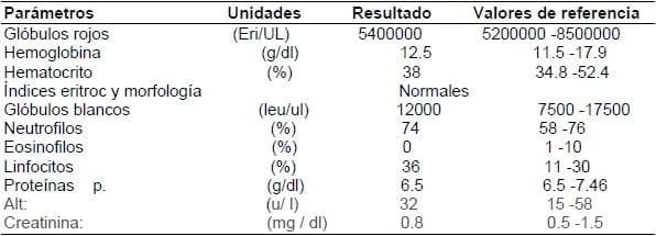 Separación traumática de la sínfisis mandibular en un paciente canino: reporte de un caso - Image 2