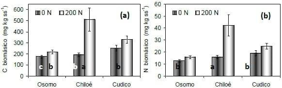 Efecto de la aplicación de nitrógeno sobre la biomasa microbiana en suelos volcánicos - Image 2